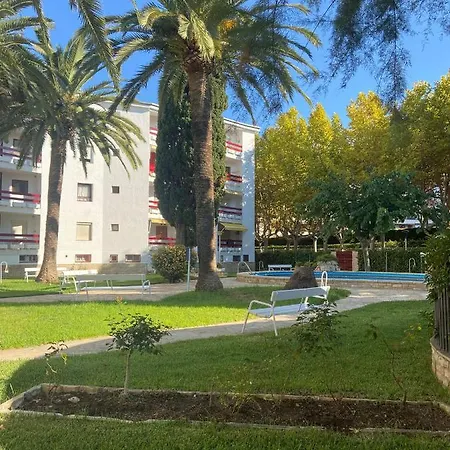 Córcega Palm Beach - Piscina Y Jardín