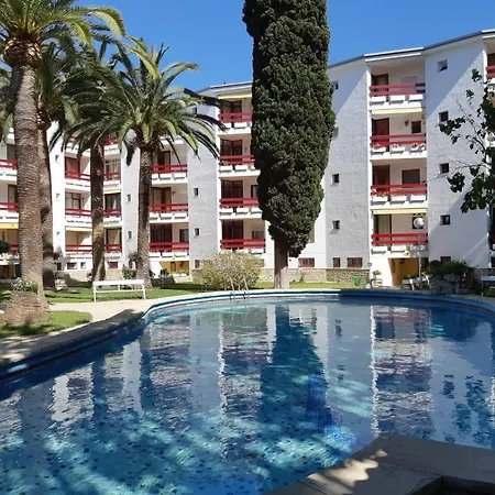 Córcega Palm Beach - Piscina Y Jardín