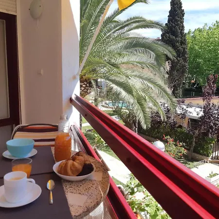 Córcega Palm Beach - Piscina Y Jardín